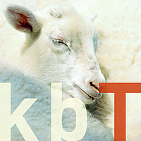 dormiente_qualitatsmerkmale_kbt