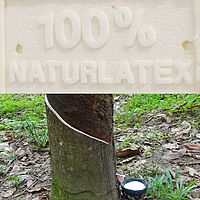 dormiente_qualitatsmerkmale_latex