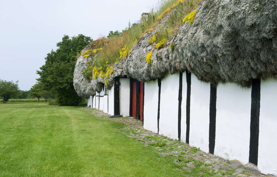 Seegrasdach eines historischen Hauses auf der dänischen Insel Læsø