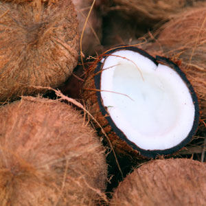 Kokosfasern