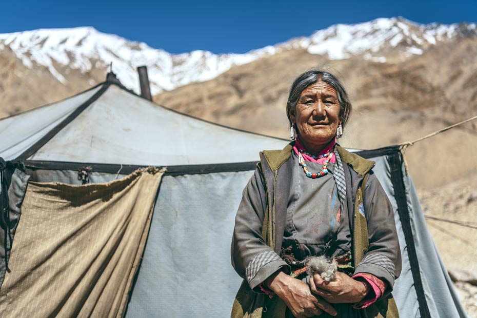 Eine alte Nomadenfrau mit einem Büschel Kaschmirwolle.