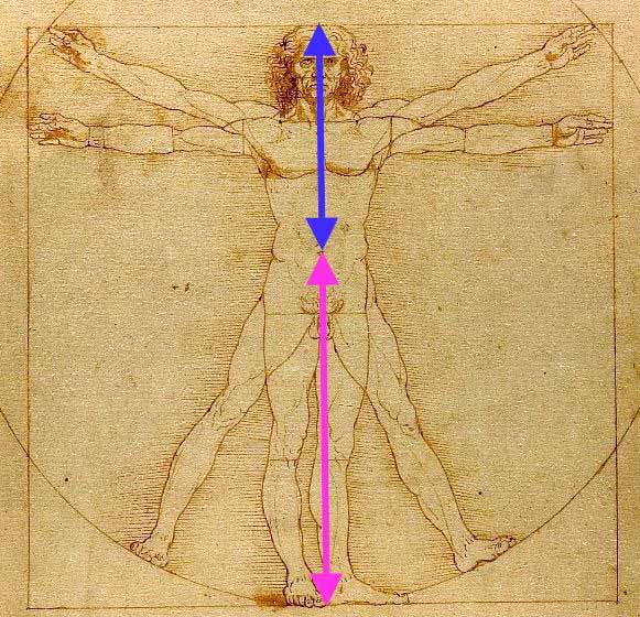 Fibonacci-Zahlen_HEIMisch-#49_Beitragsbild im Text_Leonardo da Vinci_Goldener Schnitt_Bauchnabel