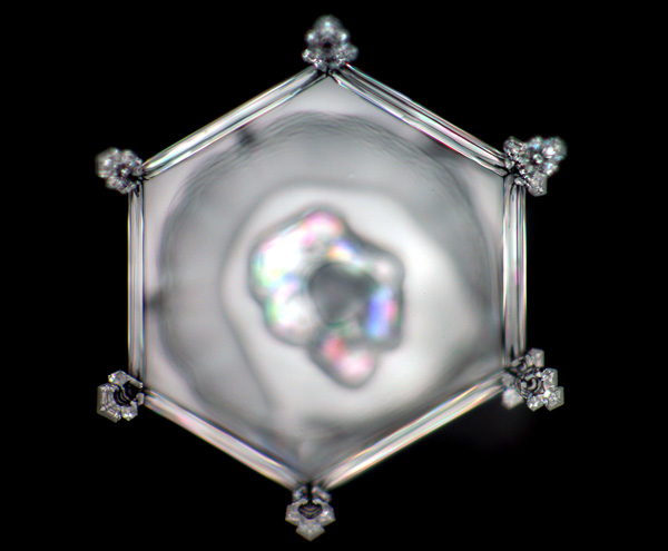 Schnekristall mit der Information "Weltfrieden"
