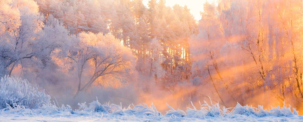 Winterlandschaft mit Rauhreif und Sonneneinstrahlung